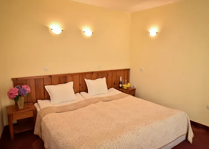 Hotel Lina Bansko